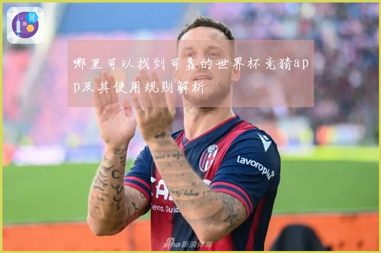 哪里可以找到可靠的世界杯竞猜app及其使用规则解析
