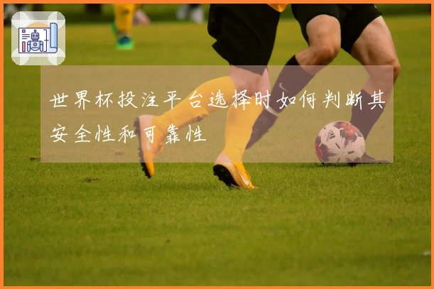 世界杯投注平台选择时如何判断其安全性和可靠性