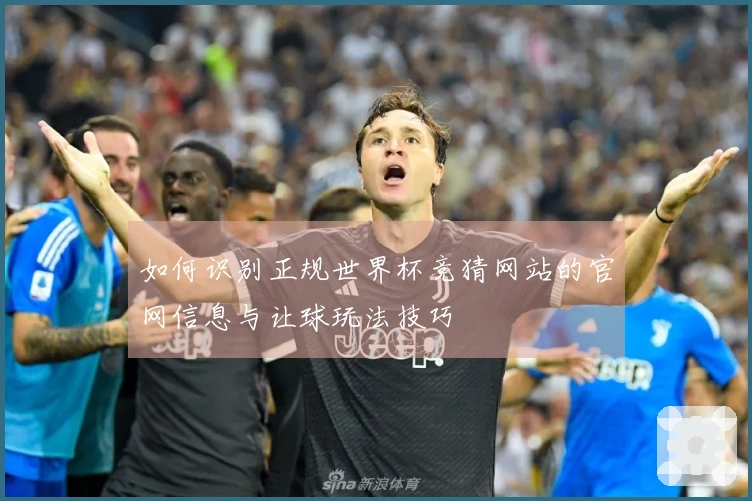 如何识别正规世界杯竞猜网站的官网信息与让球玩法技巧