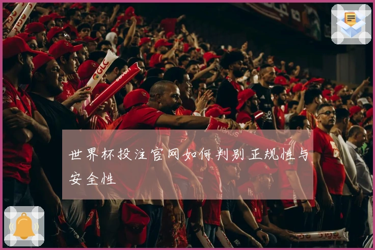 世界杯投注官网如何判别正规性与安全性