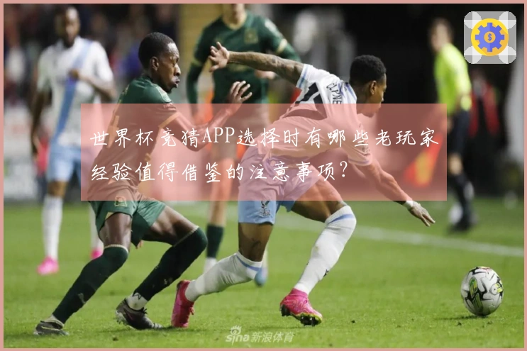 世界杯竞猜APP选择时有哪些老玩家经验值得借鉴的注意事项？