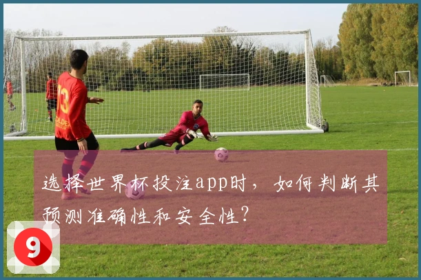 选择世界杯投注app时，如何判断其预测准确性和安全性？
