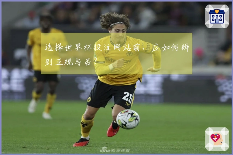 选择世界杯投注网站前，应如何辨别正规与否？