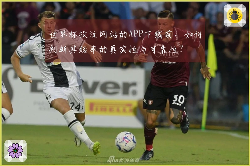 世界杯投注网站的APP下载前，如何判断其赔率的真实性与可靠性？
