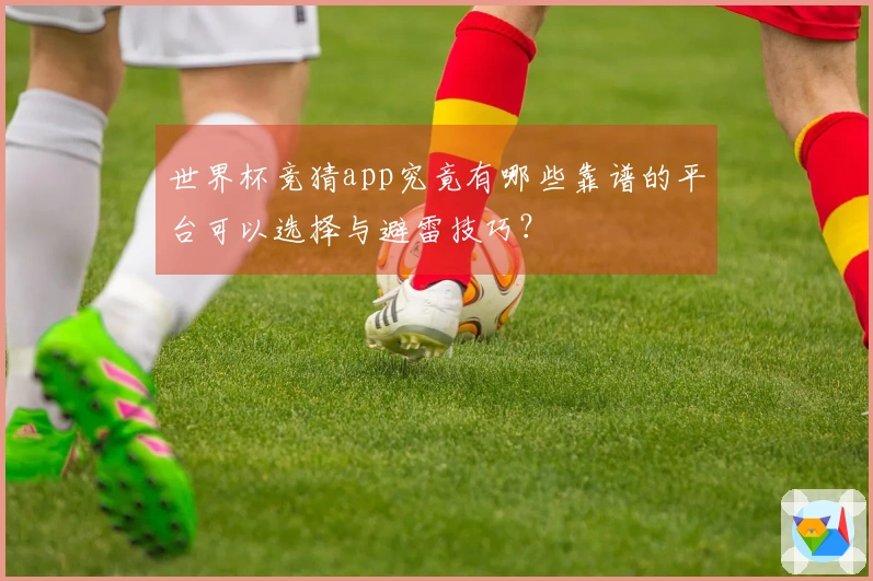 世界杯竞猜app究竟有哪些靠谱的平台可以选择与避雷技巧？