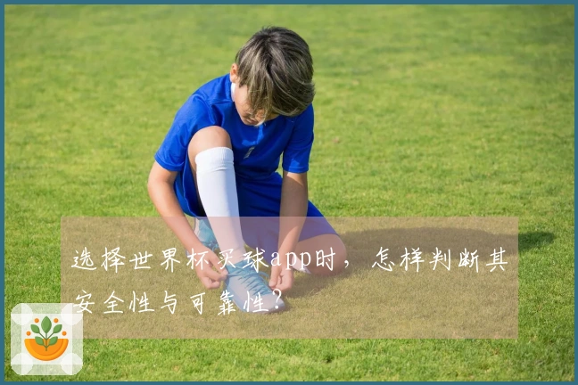 选择世界杯买球app时，怎样判断其安全性与可靠性？