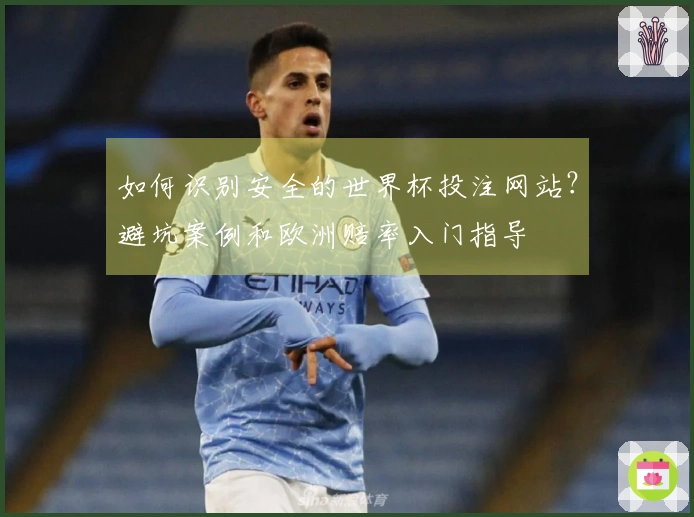 如何识别安全的世界杯投注网站？避坑案例和欧洲赔率入门指导