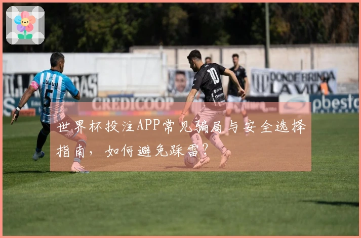 世界杯投注APP常见骗局与安全选择指南，如何避免踩雷？