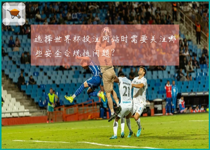选择世界杯投注网站时需要关注哪些安全合规性问题？
