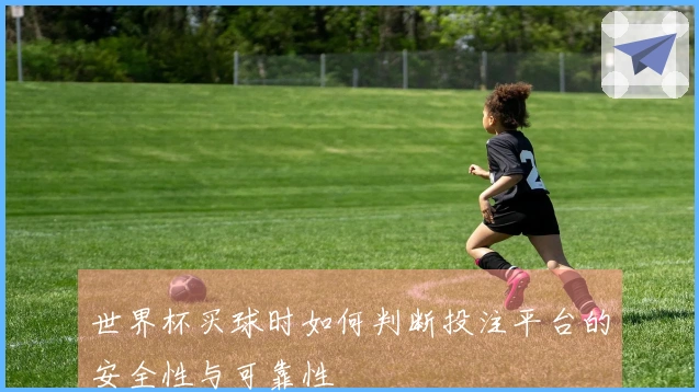 世界杯买球时如何判断投注平台的安全性与可靠性
