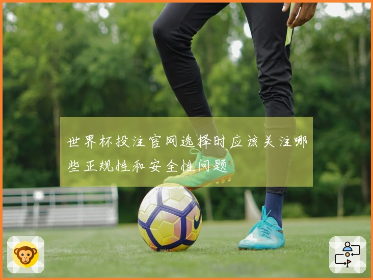 世界杯投注官网选择时应该关注哪些正规性和安全性问题
