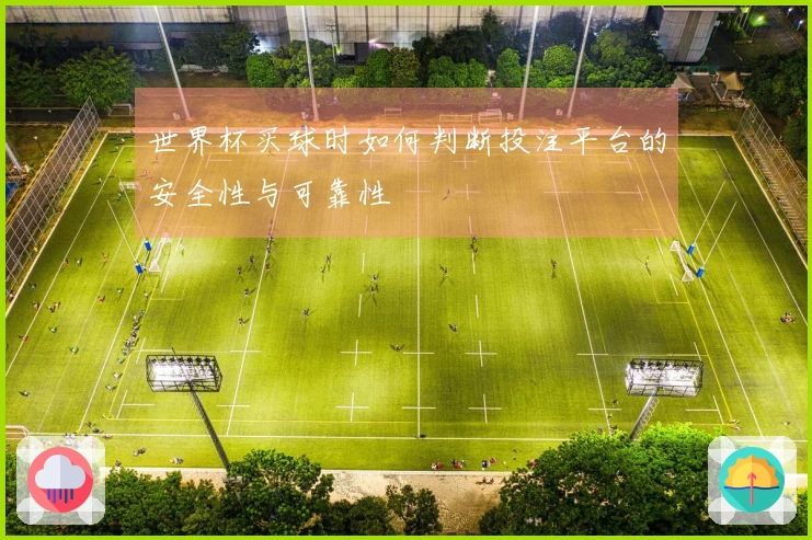世界杯买球时如何判断投注平台的安全性与可靠性