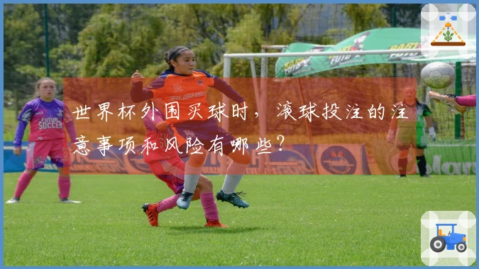 世界杯外围买球时，滚球投注的注意事项和风险有哪些？