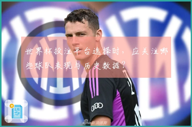 世界杯投注平台选择时，应关注哪些球队表现与历史数据？