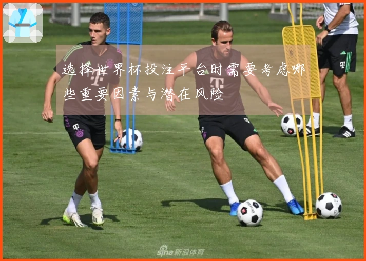 选择世界杯投注平台时需要考虑哪些重要因素与潜在风险