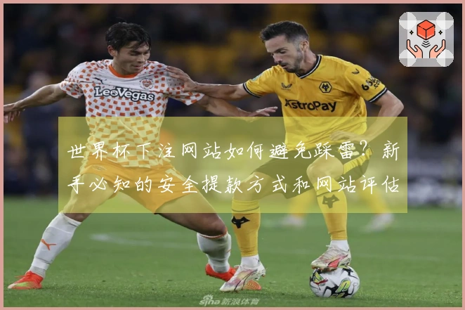 世界杯下注网站如何避免踩雷？新手必知的安全提款方式和网站评估标准
