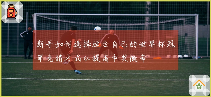 新手如何选择适合自己的世界杯冠军竞猜方式以提高中奖概率