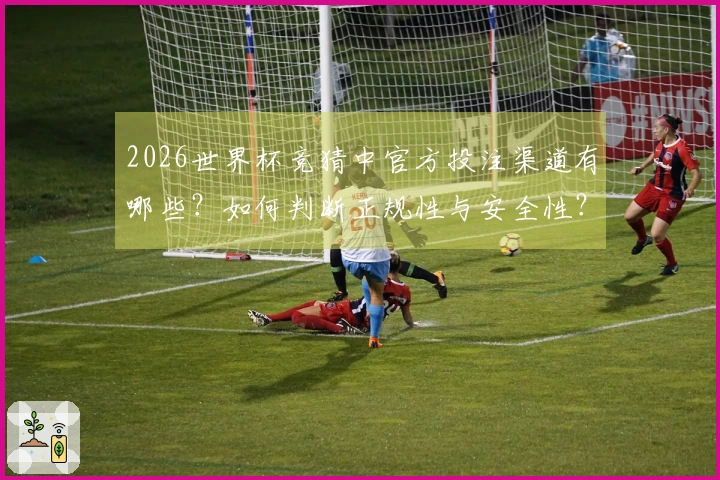 2026世界杯竞猜中官方投注渠道有哪些？如何判断正规性与安全性？