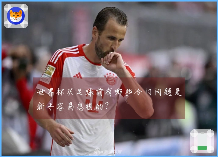 世界杯买足球前有哪些冷门问题是新手容易忽视的？