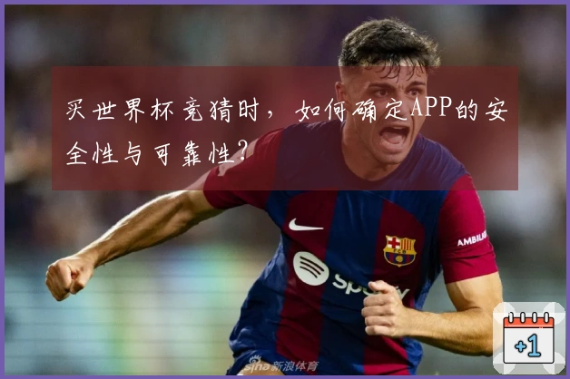 买世界杯竞猜时，如何确定APP的安全性与可靠性？