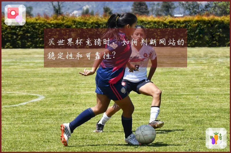 买世界杯竞猜时，如何判断网站的稳定性和可靠性？