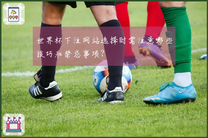 世界杯下注网站选择时需注意哪些技巧和禁忌事项？