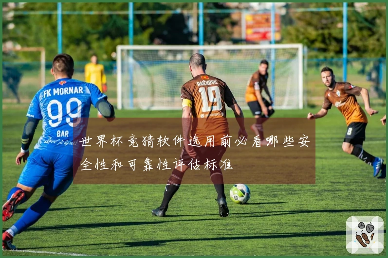 世界杯竞猜软件选用前必看哪些安全性和可靠性评估标准