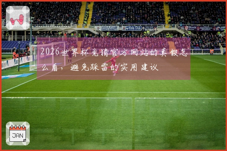 2026世界杯竞猜官方网站的真假怎么看，避免踩雷的实用建议