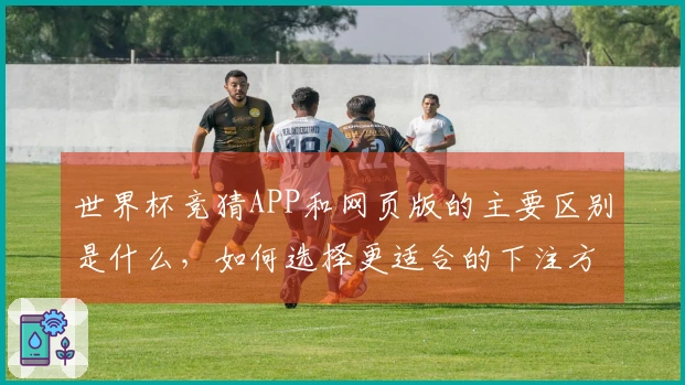 世界杯竞猜APP和网页版的主要区别是什么，如何选择更适合的下注方式？