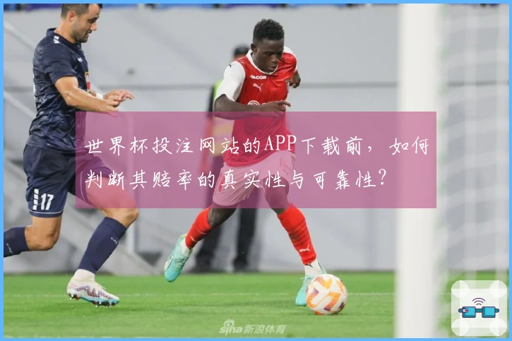 世界杯投注网站的APP下载前，如何判断其赔率的真实性与可靠性？