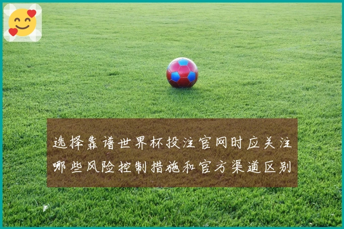 选择靠谱世界杯投注官网时应关注哪些风险控制措施和官方渠道区别