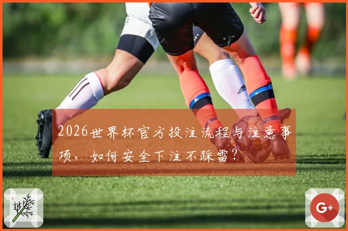 2026世界杯官方投注流程与注意事项，如何安全下注不踩雷？