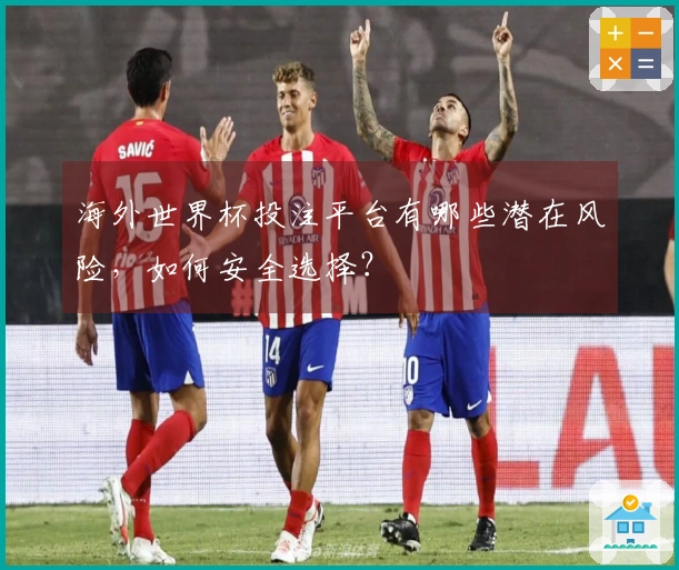 海外世界杯投注平台有哪些潜在风险，如何安全选择？
