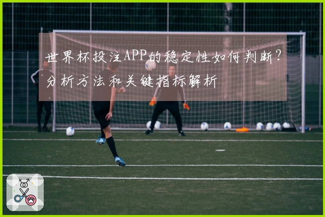 世界杯投注APP的稳定性如何判断？分析方法和关键指标解析