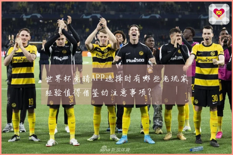 世界杯竞猜APP选择时有哪些老玩家经验值得借鉴的注意事项？