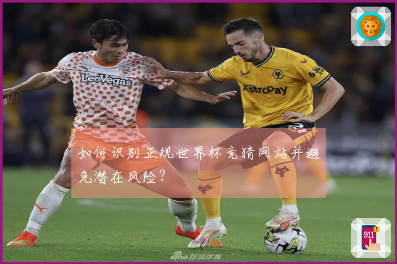 如何识别正规世界杯竞猜网站并避免潜在风险？