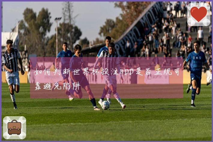 如何判断世界杯投注app是否正规可靠避免陷阱