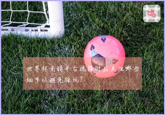 世界杯竞猜平台选择时应关注哪些细节以避免踩坑？