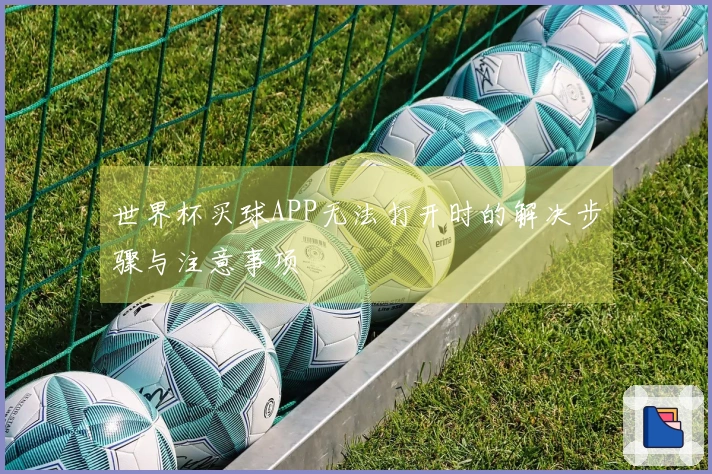 世界杯买球APP无法打开时的解决步骤与注意事项