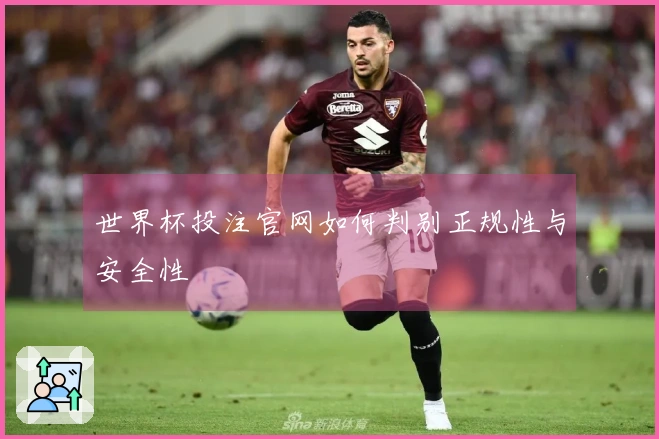 世界杯投注官网如何判别正规性与安全性